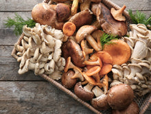 Load image into Gallery viewer, Mushroom Complex Supplement ~