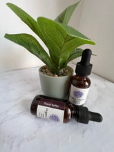 Load image into Gallery viewer, Flavor Infused CBD Oil for Dogs