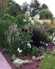 Load image into Gallery viewer, Flower Essence Tinctures for Dogs