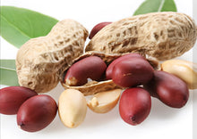 Load image into Gallery viewer, Flavor Infused CBD Oil for Dogs