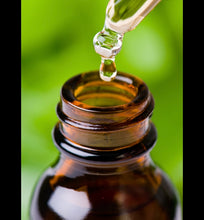 Load image into Gallery viewer, Flavor Infused CBD Oil for Dogs